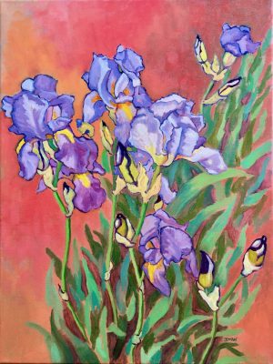 Blue Iris in Spring